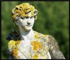 Statua Statua