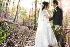 wedding fantasy wedding fantasy