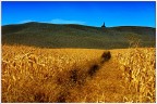 Crete senesi