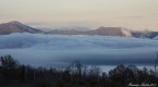 The-fog The-fog