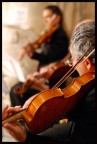 i violinisti i violinisti