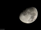 Moon Moon