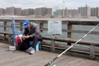 new york 03 - coney island 2009 new york 03 - coney island 2009