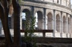 colosseo colosseo