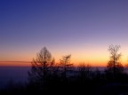 Alba 2 Alba 2