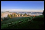 Campagna pisana da Agliati Campagna pisana da Agliati