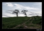 Lucera (FG) - Paesaggio Lucera (FG) - Paesaggio