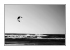 Kite Surf Kite Surf