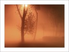 silence.... silence....