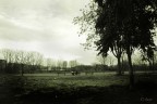 Paesaggio Urbano Paesaggio Urbano
