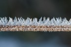 Cristalli Cristalli