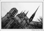 Notre-Dame