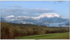 dopo la neve la vita rinasce dopo la neve la vita rinasce