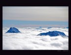 isole isole