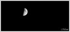 My Moon My Moon