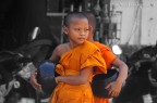 Un giovanissimo novizio gira scalzo per le strade d'oriente raccogliendo le offerte dei fedeli buddhisti.