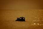 sul mare sul mare