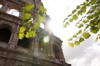 roma roma
