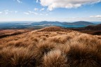 Tongariro Tongariro