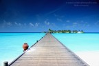Maldive - Sun Island Maldive - Sun Island