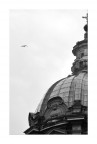 voli radenti voli radenti