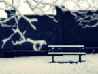 Winter #2 Winter #2