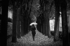 Passeggiando nell'autunno Passeggiando nell'autunno