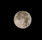 Luna Luna