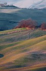 paesaggio toscano paesaggio toscano