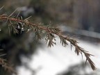Semplice Natura Semplice Natura
