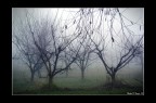 Silent hill 2 Silent hill 2