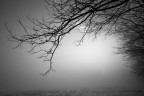neve e nebbia 4 neve e nebbia 4