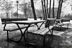 neve neve