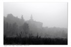 Nebbia Nebbia