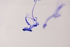 ink#01 ink#01