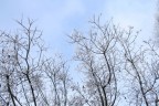 winter winter