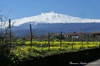Monte-ETNA
