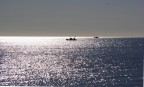 pescherecci all'orizzonte 4