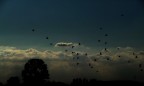 Verso altri lidi.. Verso altri lidi..