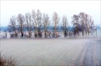 Paesaggio lombardo Paesaggio lombardo