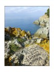 Giallo e Blu Giallo e Blu