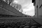la cicca la cicca