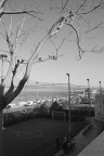 lungomare - Bari lungomare - Bari