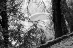 Ponte nella nebbia Ponte nella nebbia