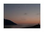 Recco #5 Recco #5