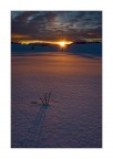 Piana delle Viote-Alba Piana delle Viote-Alba