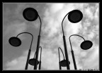 Fior di Lampioni Fior di Lampioni