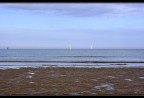 Low Tide & Sails Low Tide & Sails