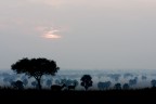 7.30 A.M. 7.30 A.M.