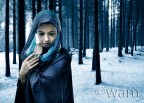 figura femminile nel bosco d'inverno figura femminile nel bosco d'inverno
